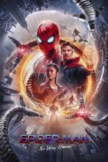 Nonton film Spider-Man: No Way Home (2021)